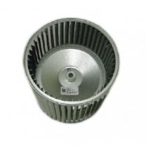 31G67.jpg
